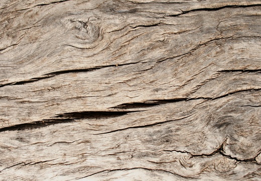 designtnt-free-textures-wood-5