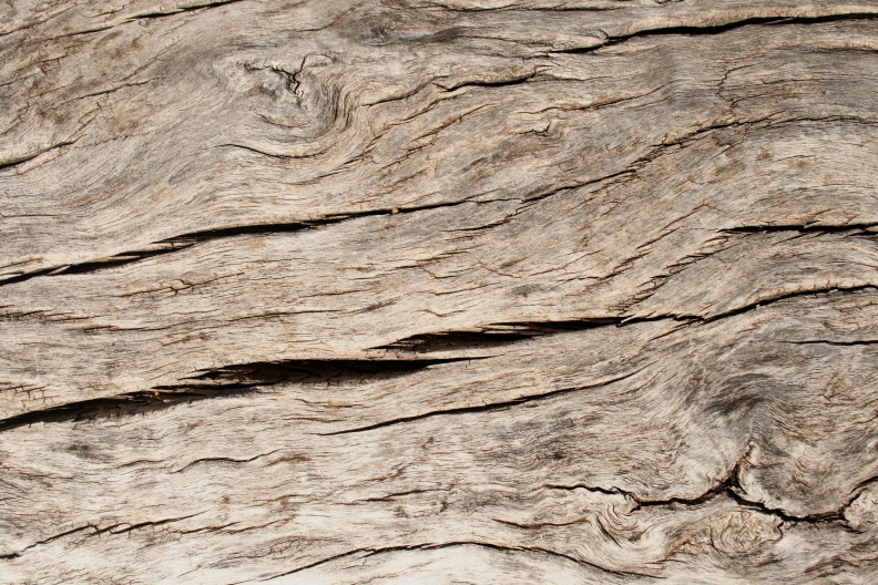 designtnt-free-textures-wood-5.JPG