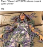 20220118121412-a4d805cb