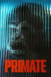 Primate (2026)