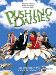 pushing daisies S2
