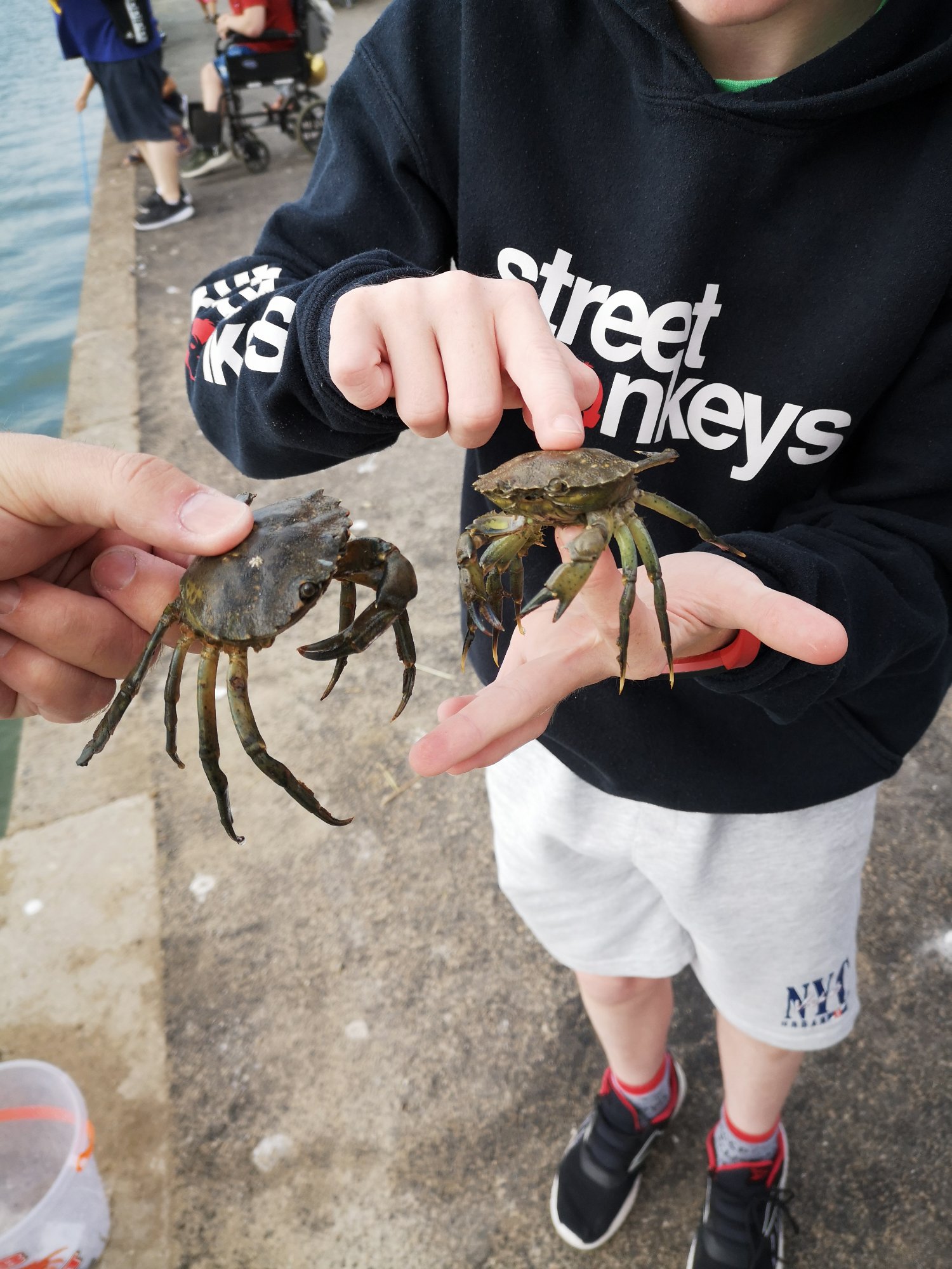 Beach and crab catching